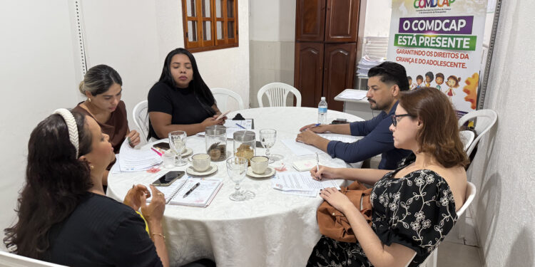 Comissão de Registro e Inscrição do Comdcap define nova presidência e relatoria